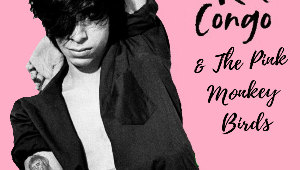 Image of Kid Congo & The Pink Monkey Birds